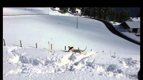 Schnals Season begin Edit 2011