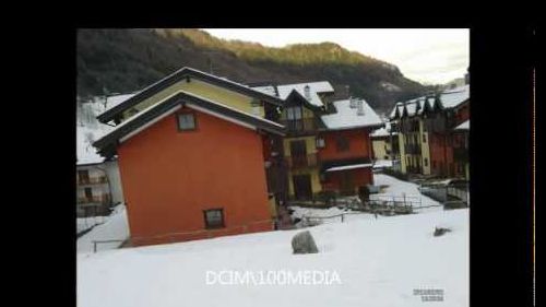 Pastore tedesco Rey in montagna Febbraio 2013