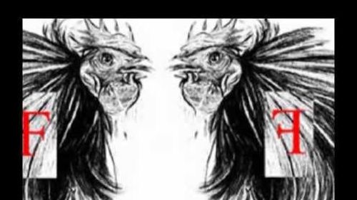 PASSO DELLO STELVIO snowpark 2013 ALPINIST EXPERT BY ambrosi sport TEAM WITH FRESH FARM