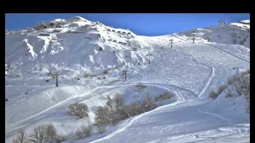 LIMONE ALLA GRANDE FIERA D'ESTATE