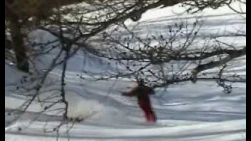 Sciare in neve fresca 2009