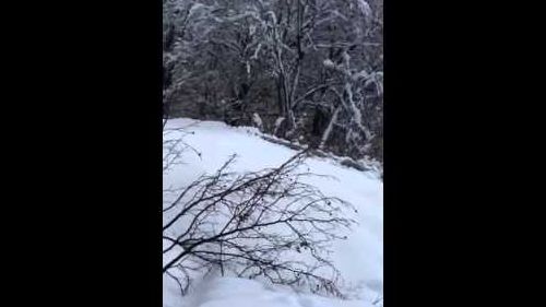 Una barriera di neve blocca la strada per bielmonte