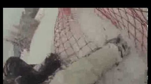 Les gets boarder cross park wipeout