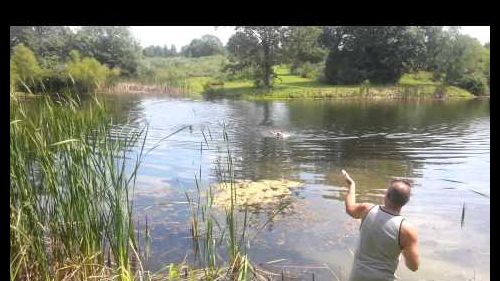 2015 survivor hash biathlon pt 2