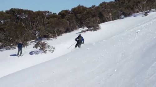Hcf: telemark skiing in dargo bowl near mt hotham, victoria australia - jwong
