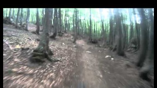 Hcf: telemark skiing in dargo bowl, victoria australia - swrobel