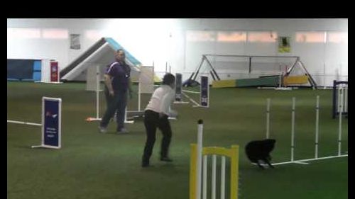 Finesse usdaa 12/4/2015 performance biathlon