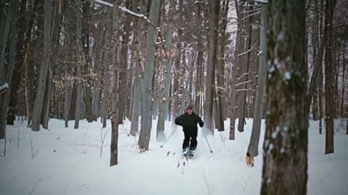 Telemark skiing backcountry xcd b/c gatineau park kingsmere chelsea quebec hd