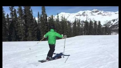 Spring corn in feb 2015