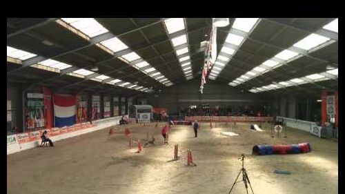 Luna 2016 ifcs biathlon jumpers