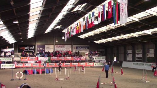 2016 ifcs wac - biathlon jumpers - quasi(modo)