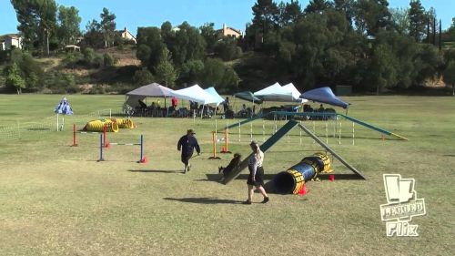 Veuve sunstandard biathlon dart swregionals2016