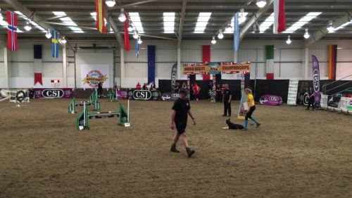 Trainyoureyes   biathlon frode andresen