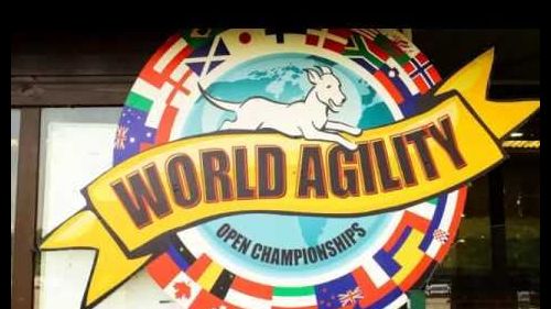 Wao biathlon jumping ( team singapore )