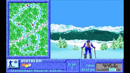 The games: winter challenge - biathlon practice