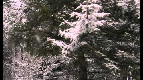 Vacanza a Vollon fraz. di Brusson