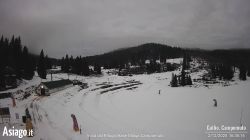 Centro del Fondo di Gallio, Malga Campomulo