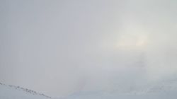 Webcam Ghiacciaio Mandrone da Cima Presena