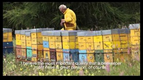 Floriano e le api - miele di montagna - slow food
