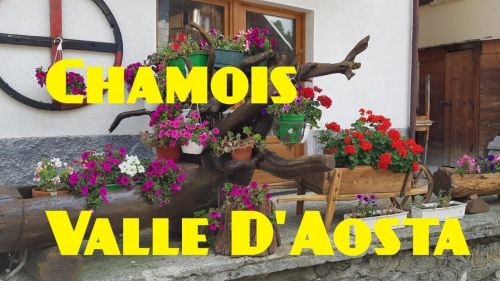 Un giorno d'estate in mezzo alla natura di chamois valle d'aosta