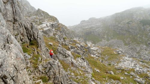 Credits: Theocharis-Druml