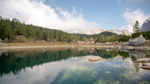 Credits: Theocharis-Druml