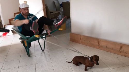 Sport during #coronavirus part 8:...  alessandro genuzio