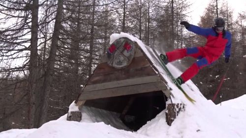The Forest - Livigno