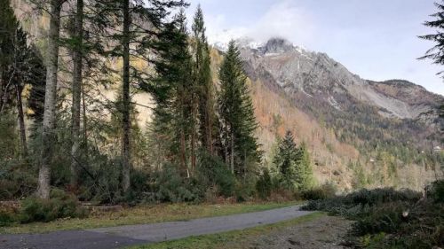 Il maltempo dei giorni scorsi ha colpito anche la zona di Forni Avoltri: tutte le foto esclusive che testimoniano la devastazione nella zona della Carnia Arena